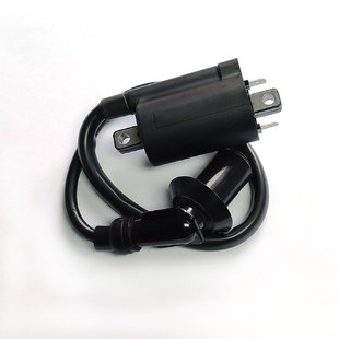 Motorcycle ignition coil for Yamaha XV250 V-Star250 Virago Route66 VENTO