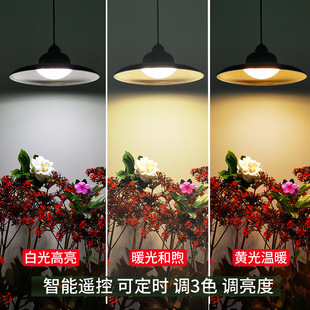 Yinglang solar chandelier outdoor garden lamp Garden LED lighting creative hanging lamp cross-border Edison retro lamp