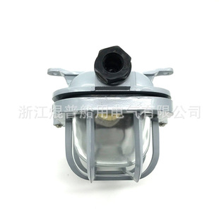 Marine cabin ceiling lamp ceiling lamp moisture-proof lamp CCD2-1-2 incandescent cabin ceiling lamp 792101 792102 direct supply