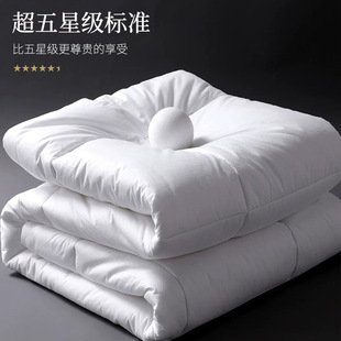 Отель Quilt Core Хлопок Целое Перо Бархатное Одеяло Народное общежитие Больница Одноместный Двойной Четыре Сезона Универсальное Одеяло Отель Quilt