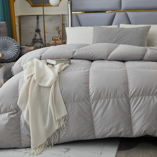 Hilton & Resorts Hotel Down Quilt 95 White Goose Down Quilt Spring Autumn Winter Core Quilt Two in One