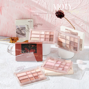 MOTY twelve color eye shadow earth color eye shadow plate makeup wholesale pearlescent matte not easy to take off makeup students parity flash