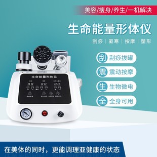 Four Seasons Health Instrument Scraping Pulse Shoulder and Neck Physiotherapy Vibration Massage Meridians Dredge Life Energy Body Anti-aging Instrument