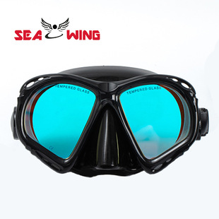 Professional Snorkeling suit Adult Water Sports Equipment Diving Mask Silicone Bite Full Dry Diving Goggles Wholesale