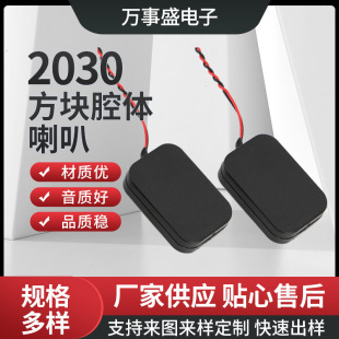 2030 horn 8 ohm 2 watt small cavity card reader face recognition machine 3020 sound cavity horn manufacturer supply