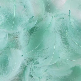 36 Color Factory wholesale small floating small feather high quality supply dyed Swan hair DIY color feather jewelry