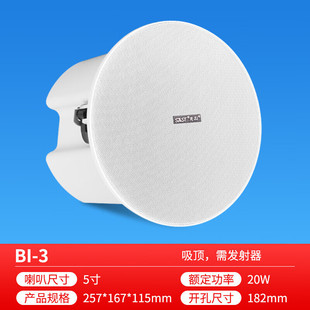 Xianke Wireless Bluetooth Wall-mounted Speaker Home Living Room Ceiling Speaker Subwoofer Surround Background Sound