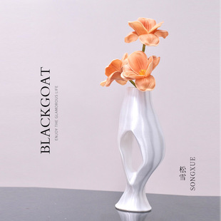 Hollow vase pine snow ins style high color value living room high-grade dried flower gypsophila rich bamboo water cultivation simulation vase
