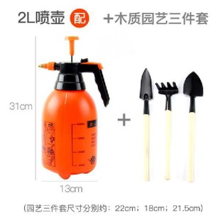 Air pressure spray bottle for disinfection, spray bottle, garden household sprinkler, flower watering, sprayer, small pressure watering can