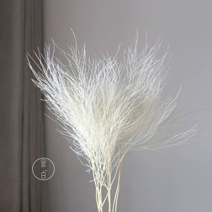 Immortal asparagus grass stone grass dream grass eternal flower factory wholesale home wedding flower soft flower wholesale