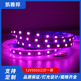 12V5050LED розовый 12V24V светодиодные полосы света большое количество и отличная цена