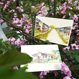 Suzhou Hand-painted Photographic Postcard Color Bookmark Tourist Souvenir Travel City Scenery Qingqing Zijin Wenchuang