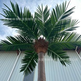 Simulation of coconut tree glass fiber reinforced plastic simulation of coconut tree factory Garden artificial coconut tree