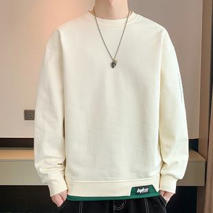 Men's hoodie hooded spring and autumn 2024 new round neck bottoming shirt top fashion brand all-match casual long sleeve T-shirt