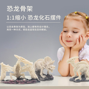 New Gypsum Resin Dinosaur Decoration Ornaments Simulation Dinosaur Fossil Model Children's Observation Educational Toys