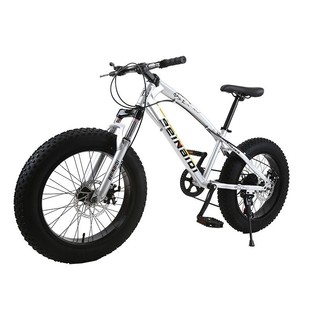 20 inch mountain bike shock absorber double disc brake shock absorber 4.0 widened large tire ATV zxc factory outlet