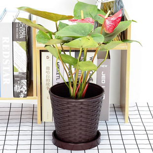 High-grade thick bamboo flower pot indoor round green rose fleshy resin plastic basin tray factory direct sales
