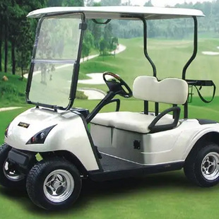 Golf Cart Roof Top Tourism Sightseeing Car Full Vehicle Complete Set of Plastic Accessories Source Manufacturers Thick Sheet Blister