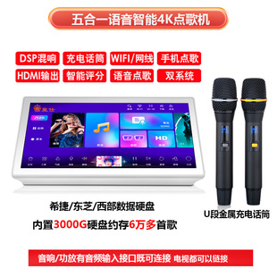 Huang Shi Family KTV Intelligent Voice Singing Machine Outdoor Entertainment Home K Song Touch Screen All-in-One Machine with Dual Microphones