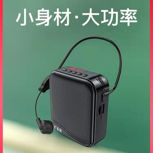 Factory wholesale small bee megaphone for teachers with microphone multi-function teaching class small multi-function outdoor