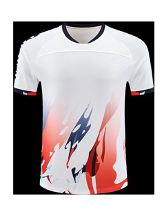 Summer and Autumn New Badminton Clothes Short-sleeved Men's and Women's Team Clothes Children's Quick-drying Sportswear Breathable Casual Top Printing