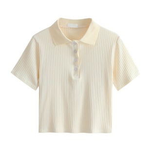 Polo Lapel Short-Sleeved T-Shirt Women's Summer Black Half-Open Collar Ice Silk Knitwear Design Niche [Kizukai]