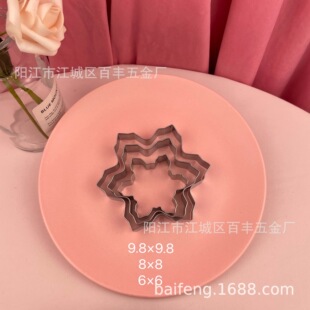 Snowflake Christmas Cookie Mold Christmas Cookie Film Holiday Theme Cake Mold Winter Series