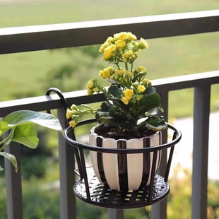 Balcony Flower Rack Household Wrought Iron Hanging Flower Pot Hanger Railing Fleshy Green Flower Shelf Indoor Storage Rack