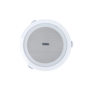 Public Broadcast All Metal 5inch 6inch Ceiling Sound Ceiling Speaker for Store Shopping Mall Background Music