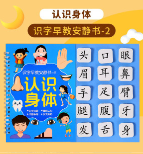 Literacy Quiet Book 3-6 Years Old Enlightenment Literacy Paste Book Tear-Off Book Early Education Children's Educational Toys Wholesale