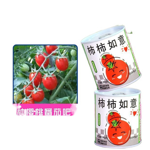 Office Green Plants, Small Potted Magical Plants, Indoor Mini Desktop, Kidsren's Planting Cans, Emotional Stability Wholesale