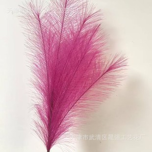 Little Red Riding Book Explosions 12 Simulated Color Reed Fireworks Outdoor Shop Fireworks Mall Arrange US-Chen Fireworks
