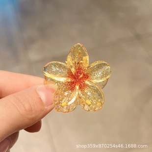 Cross-border 4cm new transparent glitter frangipani hair clip bauhinia small size clip clip hair clip hair accessories
