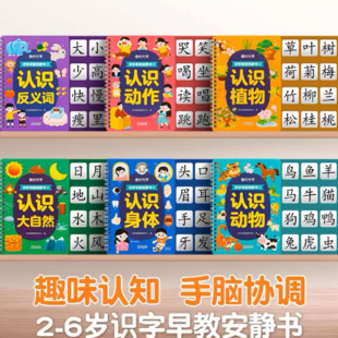 Literacy Early Education Quiet Book Literacy Enlightenment Game Book Literacy Early Education Stickers Children's Picture Recognition Cards Educational Toys