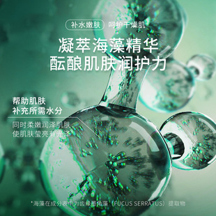 Zhi Duo Seaweed Soft Run Yue Ze Mic Наклейка Увлажняющая и увлажняющая эссенция для мужчин и женщин Продукты по уходу за кожей встряхнуть тон оптом