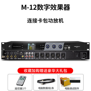 Preamp Effector Professional Karaoke Home ktv Anti-sharling Feedback Suppression Balanced Digital Reverb Audio Processor