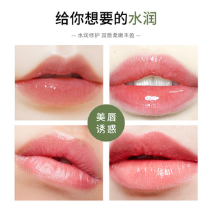 Aloe Vera Hydrating Lip Balm Colorless Lip Balm Lasting Moisturizing and Fading Lip Pattern Anti-Dry Cracking Cosmetics Wholesale
