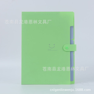 A4 color organ bag folder multi-layer pp plastic file bag Data Book office storage student test paper folder