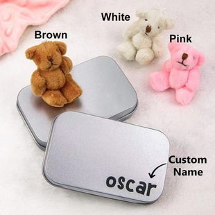 Cross-border new Teddy Bear in a Tin Box plush mini Bear gift to give people a good product