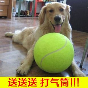 24cm large size tennis inflatable big tennis pet toy ball inflatable toy dog ten times happy tennis 1