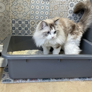 Extra Large Cat Litter Basin Super Thick Rectangular Plastic Square Basin Vegetable Washing Basin Restaurant Tableware Storage Basin Turtle Raising Basin Large