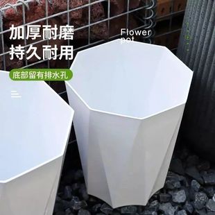Anise High Tube Resin Flower Pot Plastic Diamond Pot Rhombic Fortune Tree Flower Pot Processing Tiger Piran Sparkland Sunflower