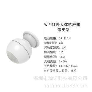 Производитель оптом граффити Wi-Fi дверной и оконный умный датчик дистанционная сигнализация об утечке воды беспроводной инфракрасный датчик человеческого тела