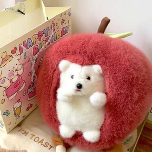 Super Cute Apple Doll Hedgehog Plush Doll Removable Cute Plush Toy Doll Birthday Gift for Women