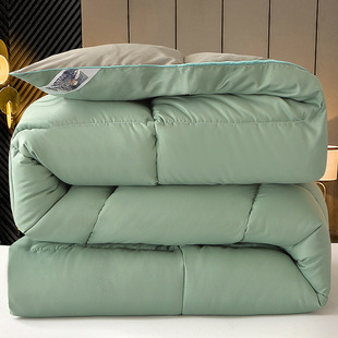Five-star hotel feather velvet quilt thickened warm quilt summer cool quilt core spring and autumn quilt winter quilt four seasons universal fluffy