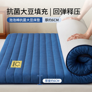 Mattress Home Upholstered Mat Tatami Mat Student Dormitory Single Mattress Special Mattress Mat Foldable