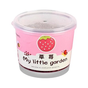 Children Plant Small Potted Flower Seeds, Plant Growth Students, Mini Observation Science Laboratory Vegetable Seeds