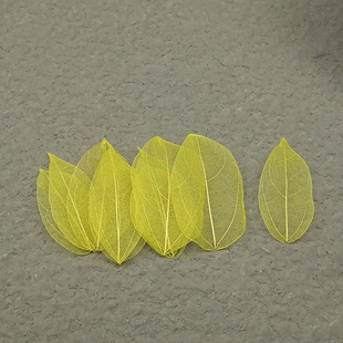 Magic Flower Dried Flower Vein Diamond Leaf diy Material Bag Dried Flower Glass Cover Tanabata Accessories Birthday Flower Crafts