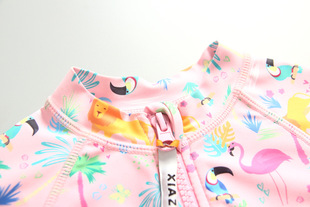 Korean Children's Swimwear Baby Girl's Baby's Swimwear Girl's Long-sleeved One-piece Dress Sunscreen Children's Beach Surf Suit