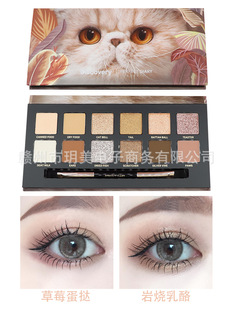 Perfect diary animal eye shadow plate earth color matte high gloss makeup little prince golden tiger ink cat new product